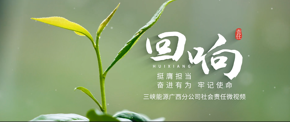 三峡能源第九届微视频大赛